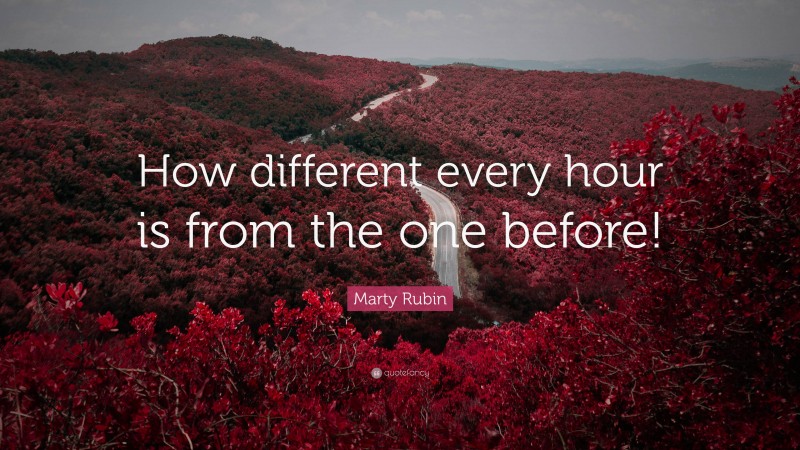 Marty Rubin Quote: “How different every hour is from the one before!”