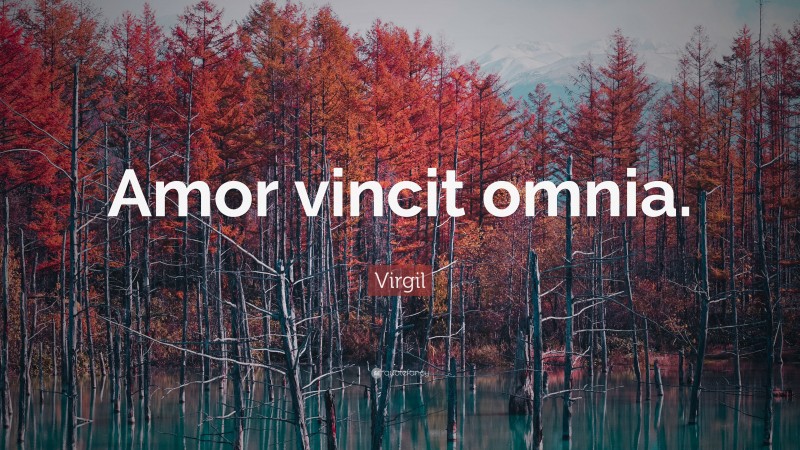 Virgil Quote: “Amor vincit omnia.”