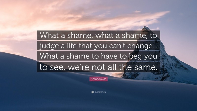 Shinedown Quote: “What a shame, what a shame, to judge a life that you can’t change... What a shame to have to beg you to see, we’re not all the same.”