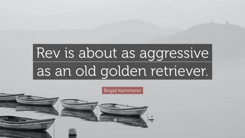 Brigid Kemmerer Quote: “Rev is about as aggressive as an old golden retriever.”