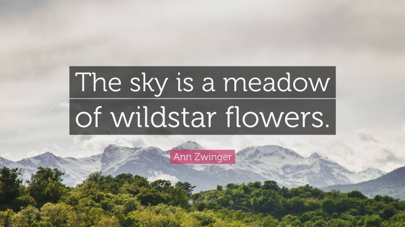 Ann Zwinger Quote: “The sky is a meadow of wildstar flowers.”