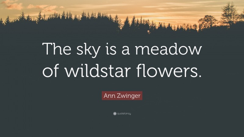 Ann Zwinger Quote: “The sky is a meadow of wildstar flowers.”