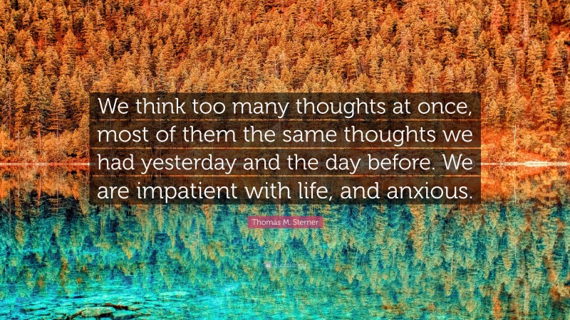 Thomas M. Sterner Quote: “We think too many thoughts at once, most of them the same thoughts we had yesterday and the day before. We are impatient with life, and anxious.”