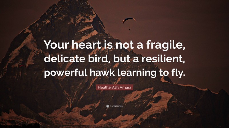 HeatherAsh Amara Quote: “Your heart is not a fragile, delicate bird, but a resilient, powerful hawk learning to fly.”
