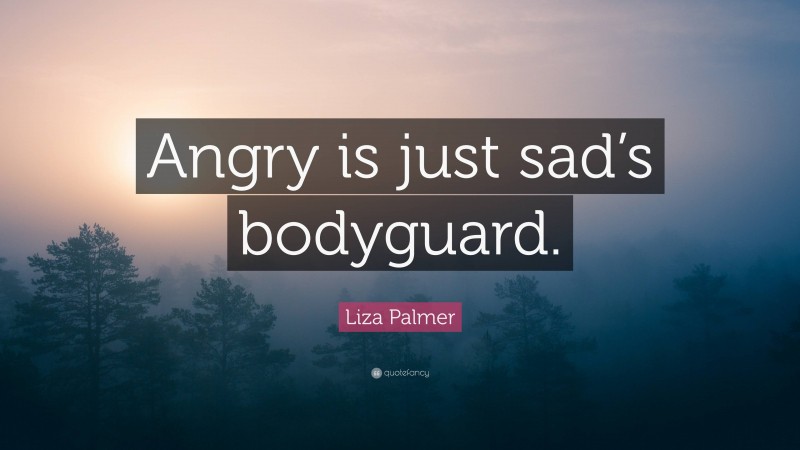 Liza Palmer Quote: “Angry is just sad’s bodyguard.”