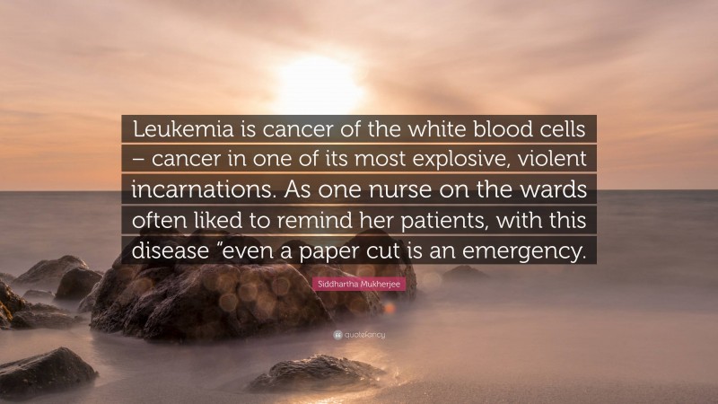 Siddhartha Mukherjee Quote: “Leukemia is cancer of the white blood cells – cancer in one of its most explosive, violent incarnations. As one nurse on the wards often liked to remind her patients, with this disease “even a paper cut is an emergency.”