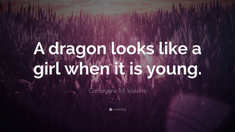 Catherynne M. Valente Quote: “A dragon looks like a girl when it is young.”