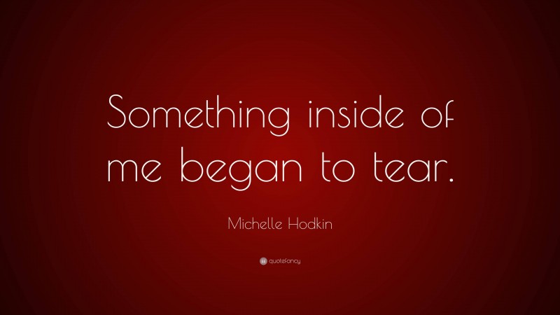 Michelle Hodkin Quote: “Something inside of me began to tear.”