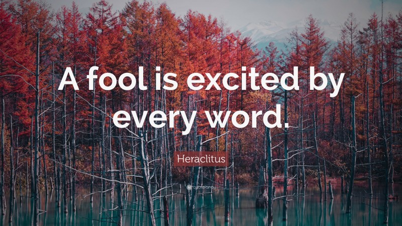 Heraclitus Quote: “A fool is excited by every word.”