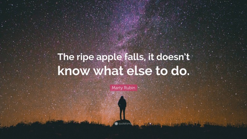 Marty Rubin Quote: “The ripe apple falls, it doesn’t know what else to do.”