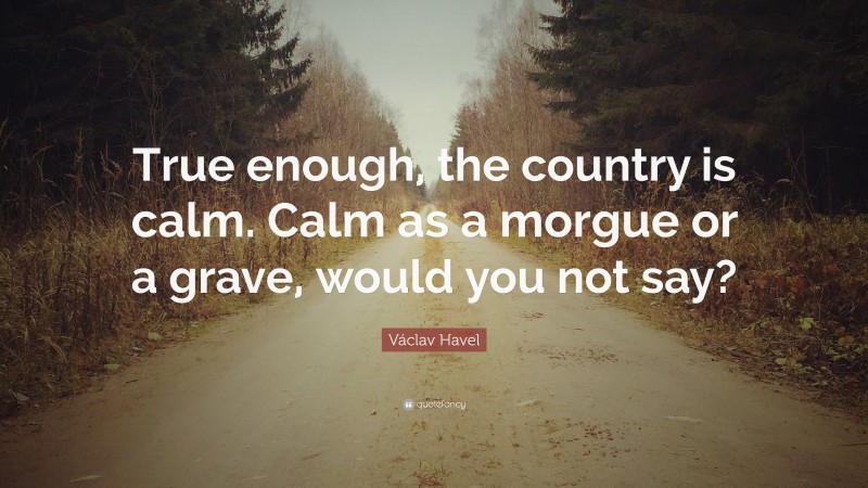 Václav Havel Quote: “True enough, the country is calm. Calm as a morgue or a grave, would you not say?”