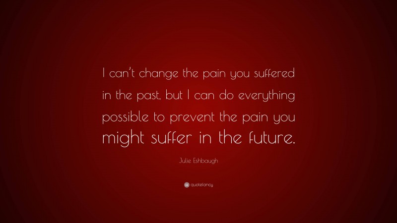 Julie Eshbaugh Quote: “I can’t change the pain you suffered in the past, but I can do everything possible to prevent the pain you might suffer in the future.”