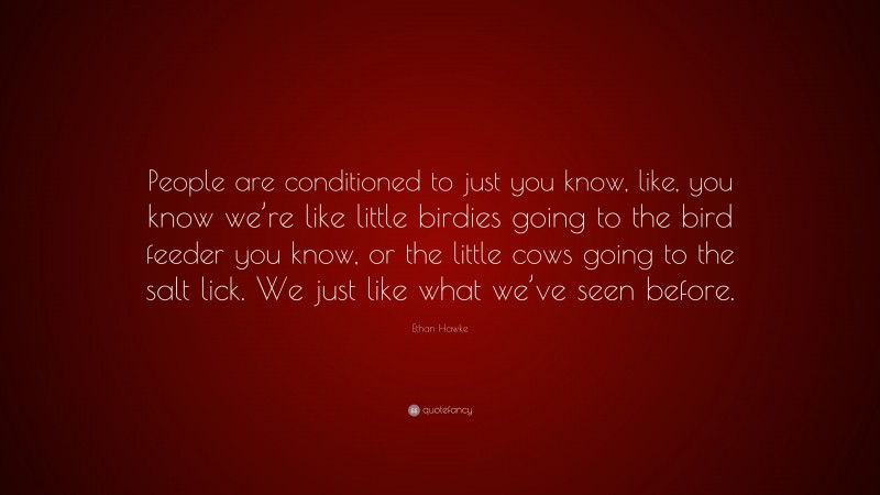 Ethan Hawke Quote: “People are conditioned to just you know, like, you know we’re like little birdies going to the bird feeder you know, or the little cows going to the salt lick. We just like what we’ve seen before.”