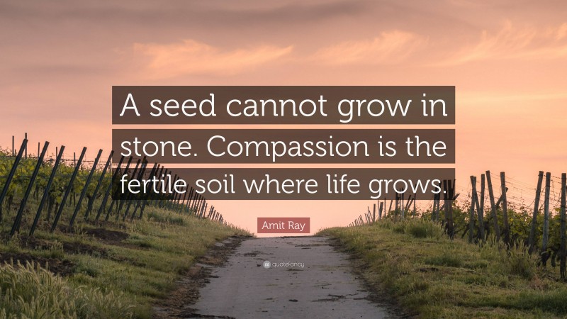 Amit Ray Quote: “A seed cannot grow in stone. Compassion is the fertile soil where life grows.”