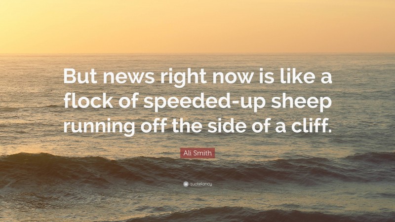 Ali Smith Quote: “But news right now is like a flock of speeded-up sheep running off the side of a cliff.”