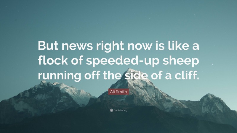 Ali Smith Quote: “But news right now is like a flock of speeded-up sheep running off the side of a cliff.”