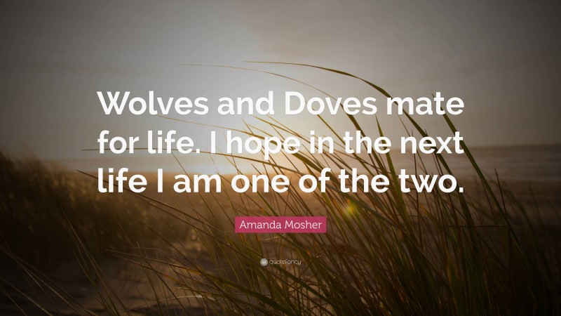 Amanda Mosher Quote: “Wolves and Doves mate for life. I hope in the next life I am one of the two.”