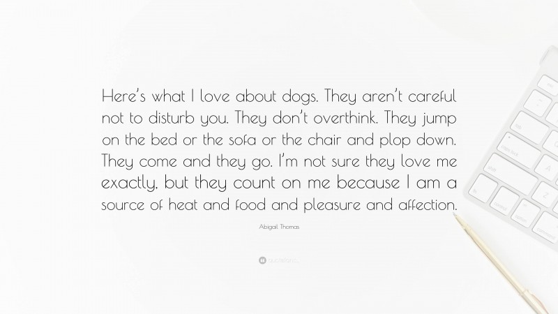 Abigail Thomas Quote: “Here’s what I love about dogs. They aren’t careful not to disturb you. They don’t overthink. They jump on the bed or the sofa or the chair and plop down. They come and they go. I’m not sure they love me exactly, but they count on me because I am a source of heat and food and pleasure and affection.”