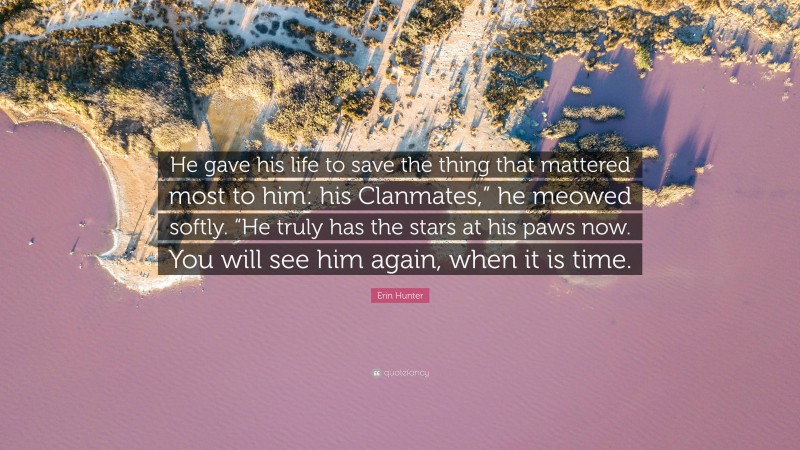 Erin Hunter Quote: “He gave his life to save the thing that mattered most to him: his Clanmates,” he meowed softly. “He truly has the stars at his paws now. You will see him again, when it is time.”