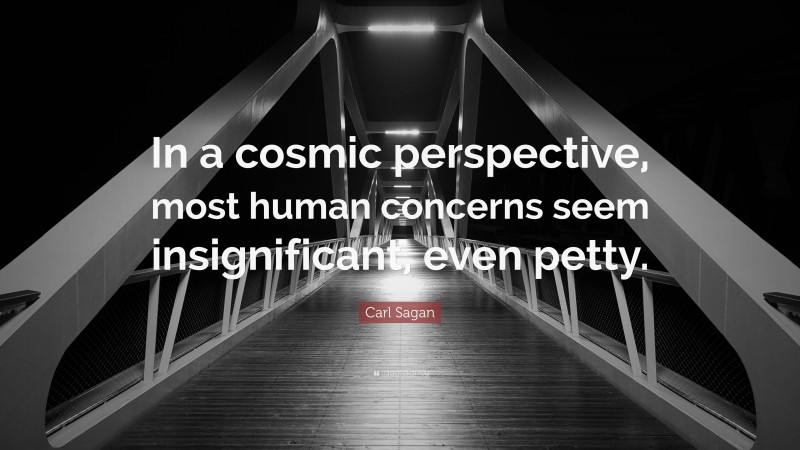 Carl Sagan Quote: “In a cosmic perspective, most human concerns seem insignificant, even petty.”