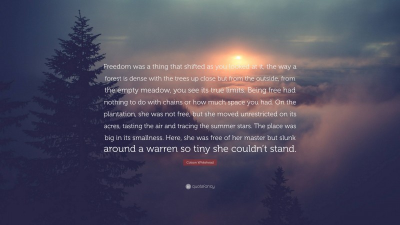 Colson Whitehead Quote: “Freedom was a thing that shifted as you looked at it, the way a forest is dense with the trees up close but from the outside, from the empty meadow, you see its true limits. Being free had nothing to do with chains or how much space you had. On the plantation, she was not free, but she moved unrestricted on its acres, tasting the air and tracing the summer stars. The place was big in its smallness. Here, she was free of her master but slunk around a warren so tiny she couldn’t stand.”