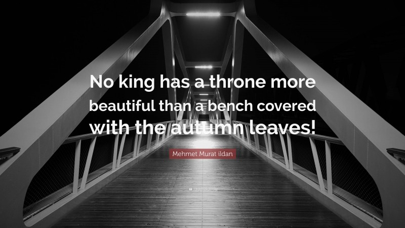 Mehmet Murat ildan Quote: “No king has a throne more beautiful than a bench covered with the autumn leaves!”