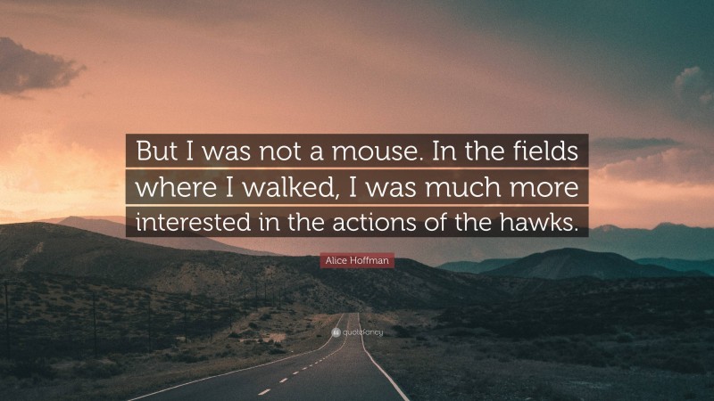 Alice Hoffman Quote: “But I was not a mouse. In the fields where I walked, I was much more interested in the actions of the hawks.”