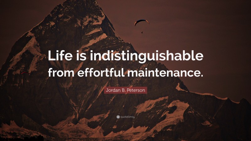 Jordan B. Peterson Quote: “Life is indistinguishable from effortful maintenance.”
