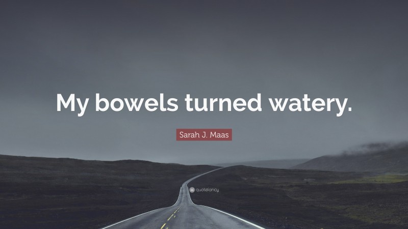 Sarah J. Maas Quote: “My bowels turned watery.”