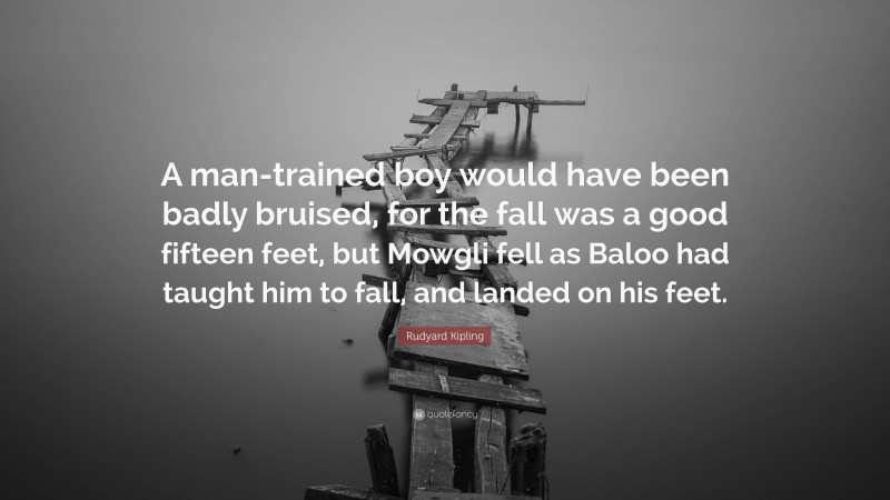Rudyard Kipling Quote: “A man-trained boy would have been badly bruised, for the fall was a good fifteen feet, but Mowgli fell as Baloo had taught him to fall, and landed on his feet.”