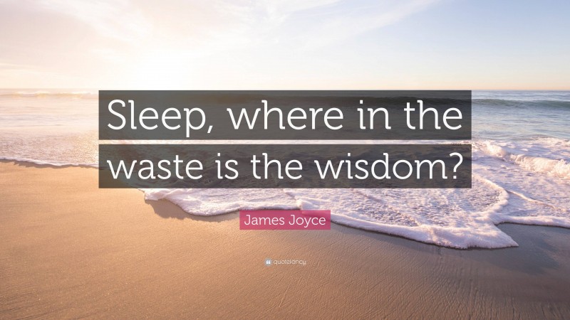 James Joyce Quote: “Sleep, where in the waste is the wisdom?”