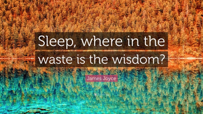 James Joyce Quote: “Sleep, where in the waste is the wisdom?”