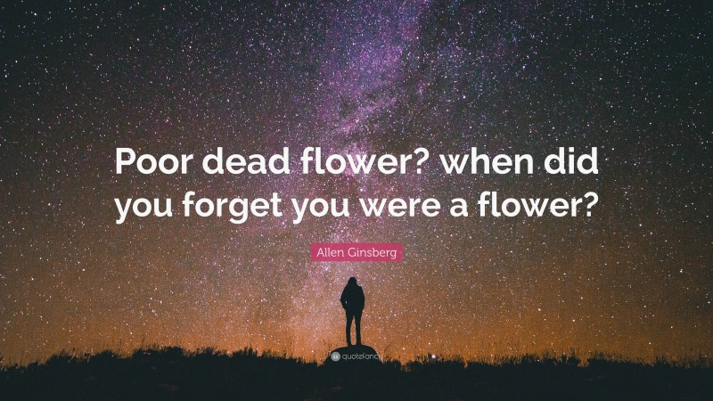 Allen Ginsberg Quote: “Poor dead flower? when did you forget you were a flower?”