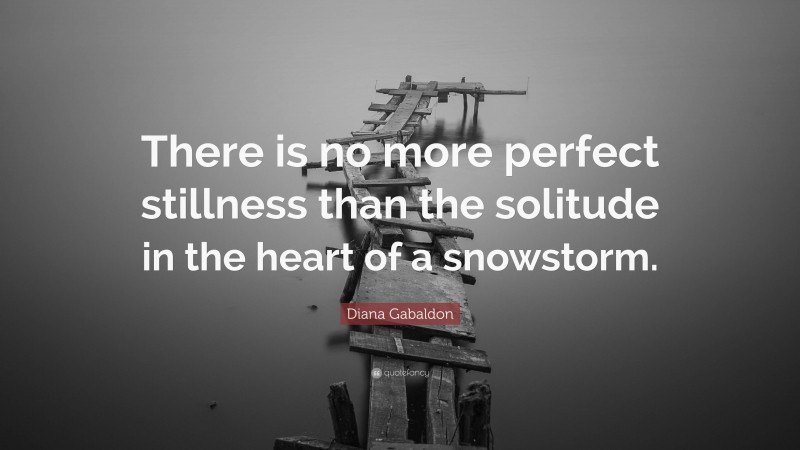 Diana Gabaldon Quote: “There is no more perfect stillness than the solitude in the heart of a snowstorm.”