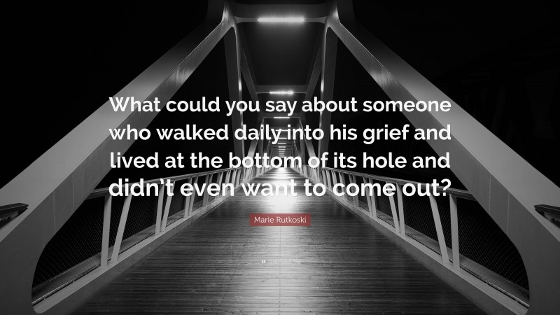 Marie Rutkoski Quote: “What could you say about someone who walked daily into his grief and lived at the bottom of its hole and didn’t even want to come out?”