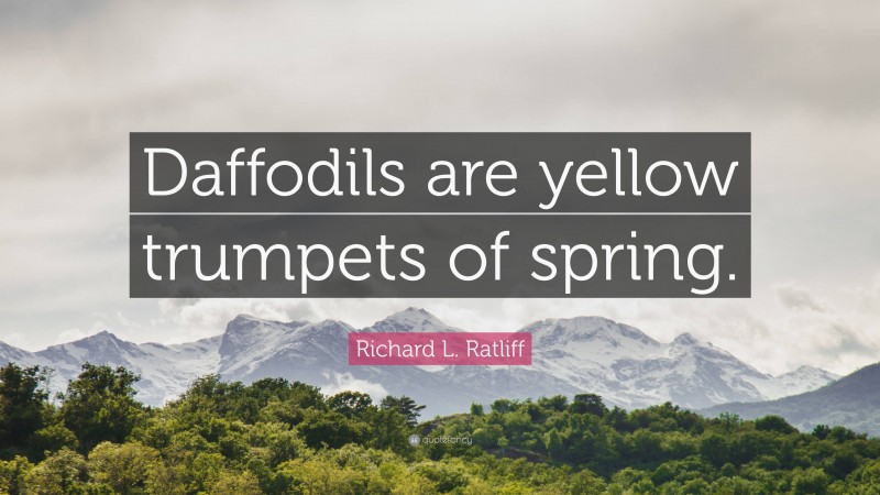 Richard L. Ratliff Quote: “Daffodils are yellow trumpets of spring.”