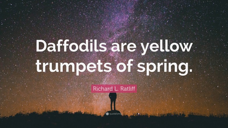 Richard L. Ratliff Quote: “Daffodils are yellow trumpets of spring.”