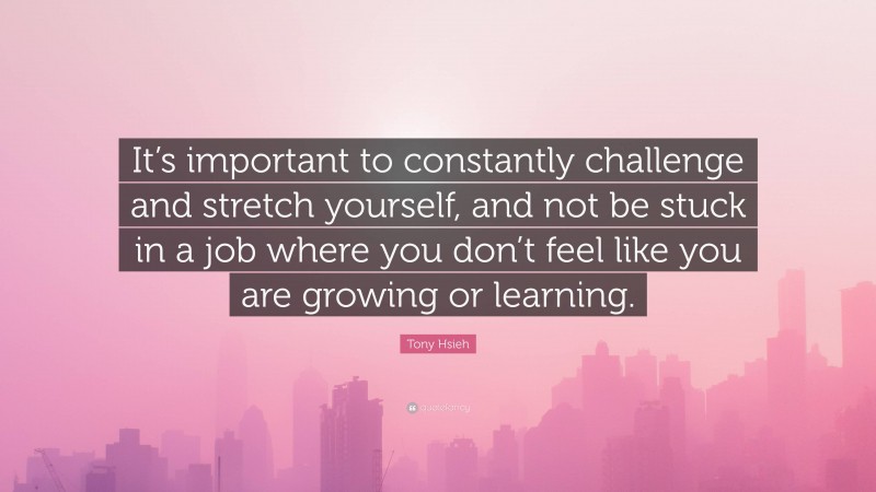 Tony Hsieh Quote: “It’s important to constantly challenge and stretch yourself, and not be stuck in a job where you don’t feel like you are growing or learning.”