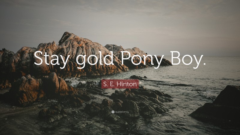 S. E. Hinton Quote: “Stay gold Pony Boy.”