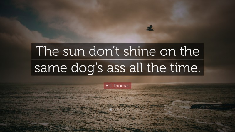 Bill Thomas Quote: “The sun don’t shine on the same dog’s ass all the time.”