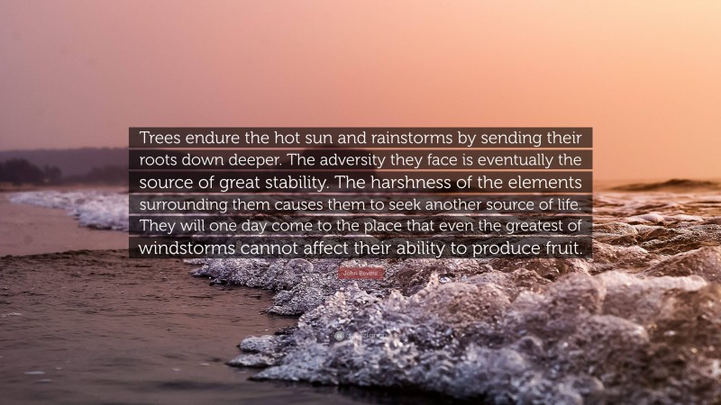 John Bevere Quote: “Trees endure the hot sun and rainstorms by sending their roots down deeper. The adversity they face is eventually the source of great stability. The harshness of the elements surrounding them causes them to seek another source of life. They will one day come to the place that even the greatest of windstorms cannot affect their ability to produce fruit.”