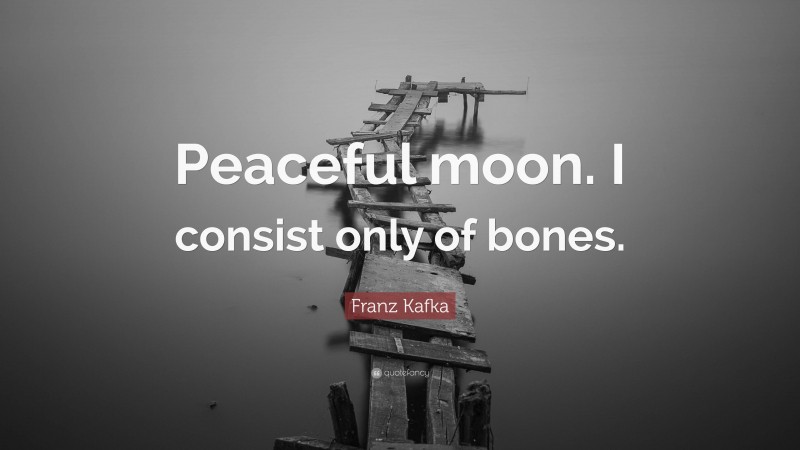 Franz Kafka Quote: “Peaceful moon. I consist only of bones.”