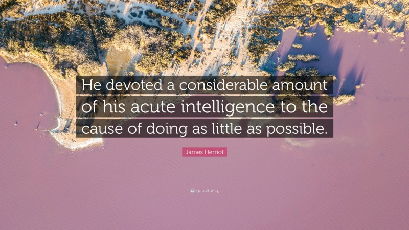 James Herriot Quote: “He devoted a considerable amount of his acute intelligence to the cause of doing as little as possible.”