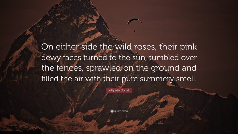 Betty MacDonald Quote: “On either side the wild roses, their pink dewy faces turned to the sun, tumbled over the fences, sprawled on the ground and filled the air with their pure summery smell.”