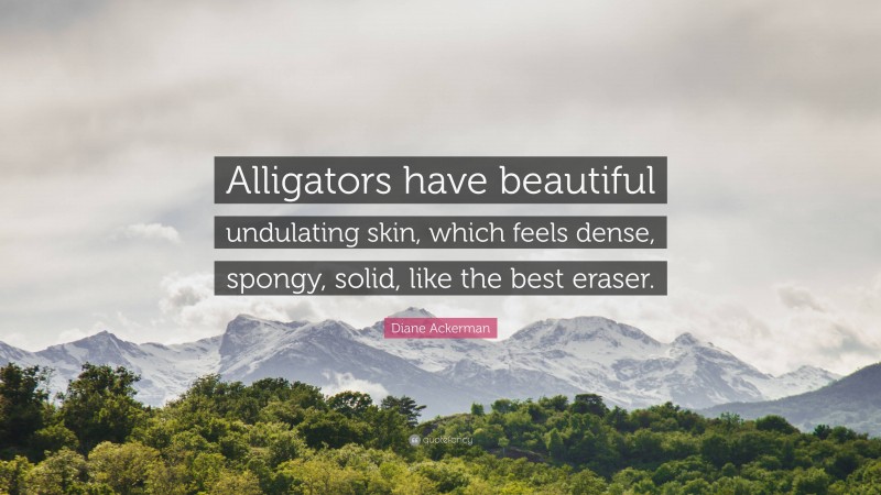 Diane Ackerman Quote: “Alligators have beautiful undulating skin, which feels dense, spongy, solid, like the best eraser.”