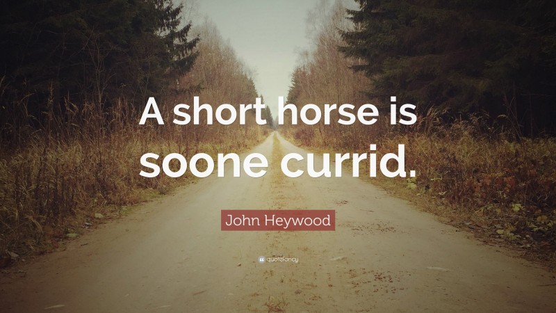 John Heywood Quote: “A short horse is soone currid.”