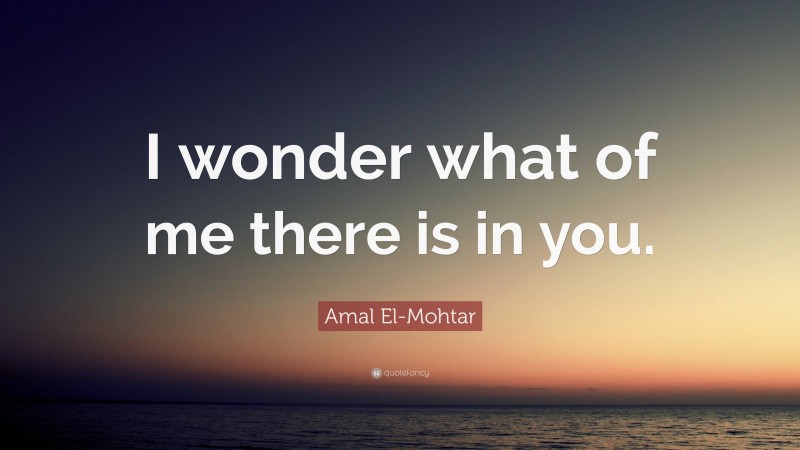 Amal El-Mohtar Quote: “I wonder what of me there is in you.”