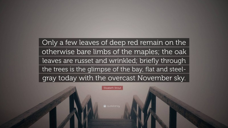 Elizabeth Strout Quote: “Only a few leaves of deep red remain on the otherwise bare limbs of the maples; the oak leaves are russet and wrinkled; briefly through the trees is the glimpse of the bay, flat and steel-gray today with the overcast November sky.”