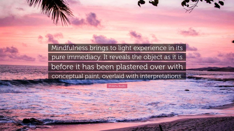 Bhikkhu Bodhi Quote: “Mindfulness brings to light experience in its pure immediacy. It reveals the object as it is before it has been plastered over with conceptual paint, overlaid with interpretations.”