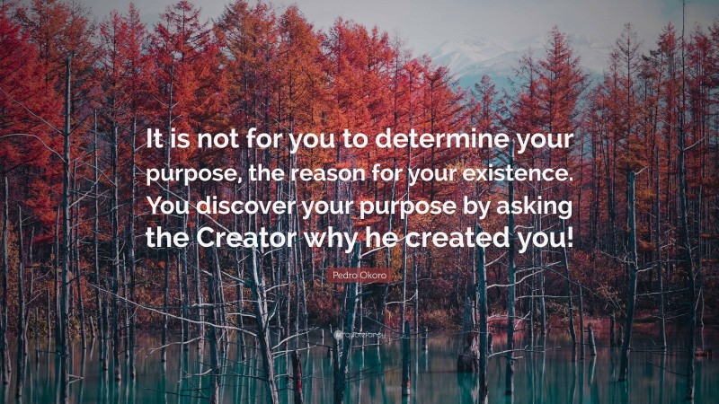 Pedro Okoro Quote: “It is not for you to determine your purpose, the reason for your existence. You discover your purpose by asking the Creator why he created you!”